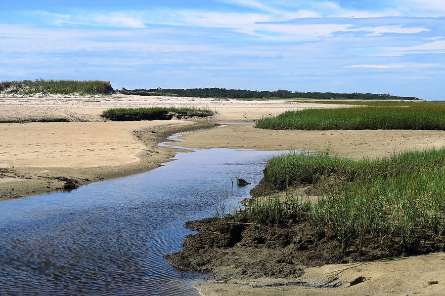 Understand Tides vs. Currents
