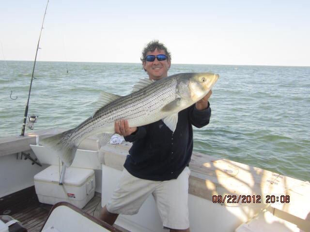 The Only 3 Soft Plastic Baits You Need to Catch Striped Bass