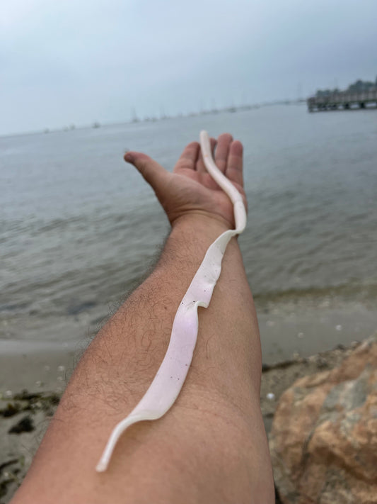 18" Saltwater Ribbon Worm Soft Plastic Bait - 4 Pack